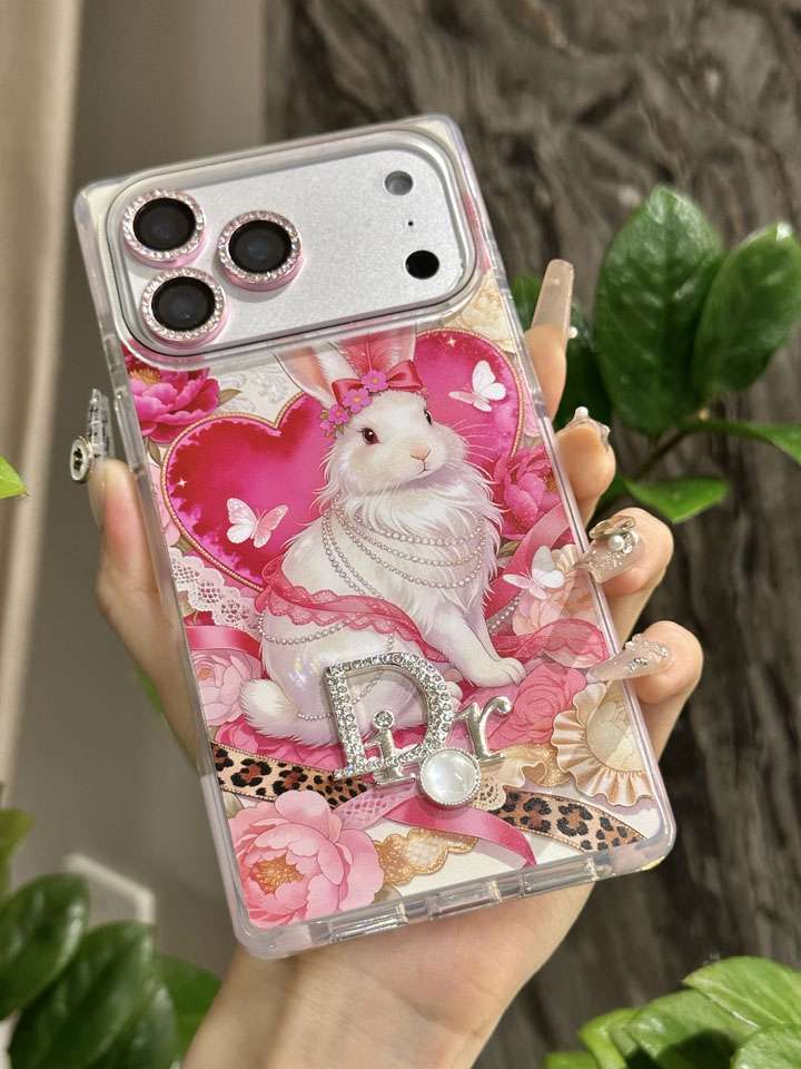 DIOR iphone18proケース トランク型
