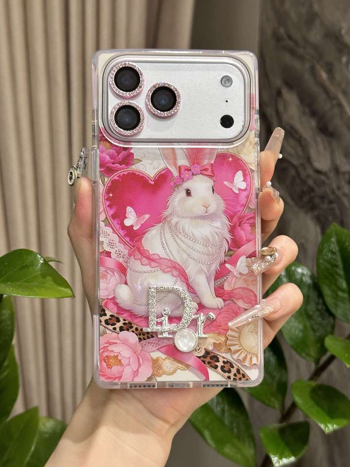 DIOR iphone18proケース トランク型