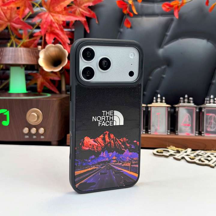 THE NORTH FACE マット感仕上げ iphone18proケース