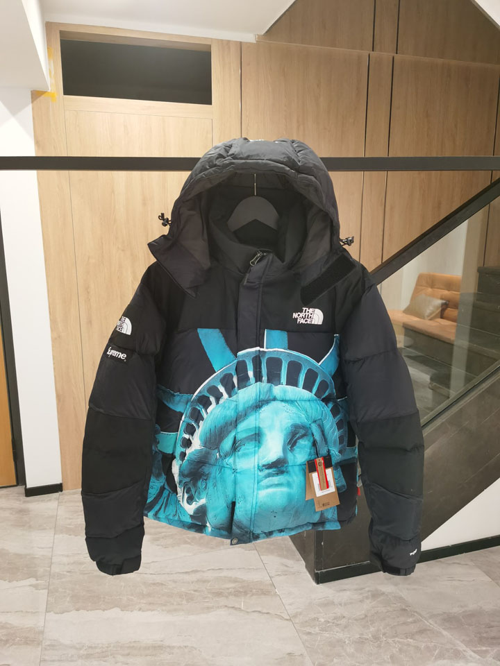 THE NORTH FACE×Supreme 自由の女神バルトダウン